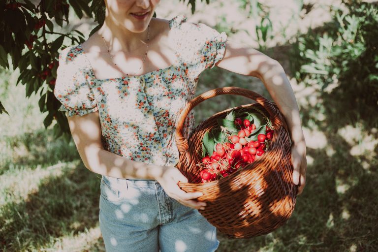 Summer fruits